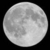 :iconbroken-winged-bird: