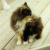 :iconbroken-wings: