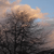 :iconbroken-wings23: