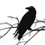 :iconbrokencrow32: