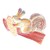 :iconbrokenheadphones: