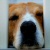 :iconbrokenlie:
