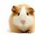 :iconbrokenpaw: