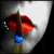 :iconbrokensuede: