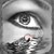 :iconbrokenwings34: