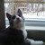 :iconbrolewski:
