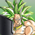 :iconbroly3110: