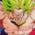 :iconbrolythelssj5:
