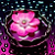 :iconbrombit: