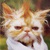 :iconbrombo: