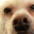 :iconbronicferg: