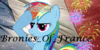 :iconbronies-of-france: