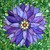 Bronwynn36 :iconbronwynn36: