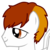 :iconbronywhitestar: