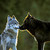 :iconbronze100:
