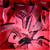 :iconBronzeMackenie: