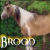 :iconbroodmarepaint: