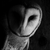 :iconbrookiebones93: