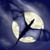 :iconbrooklynbuglet: