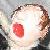 :iconbroose7:
