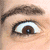 :iconbrossibaer:
