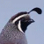 :iconbrown--eyed--girl: