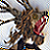 :iconbrownboots: