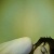 :iconbrownbrownbrown:
