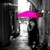 :iconbrowncoat-sith:
