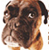 browndog1978 :iconbrowndog1978: