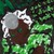 :iconbrowneyedgirl9:
