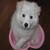 :iconbrowneyedoll: