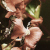 :iconbrowneyedworld: