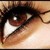 :iconbrowneyesparker: