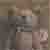 :iconbrownmoth: