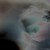:iconbrownrigg: