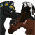 :iconbrr-lvs-nordanner: