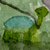 :iconbruce86: