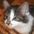 :iconbrucie123:
