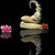 :iconbrunale03: