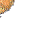 bruncikara :iconbruncikara: