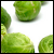 :iconbrussel-sprouts: