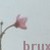:iconbrux: