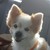 :iconbryandanaher: