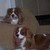 :iconbryant59: