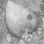 :iconbrylamare: