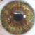 :iconbrynalbani21: