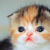 :iconbrynderoy: