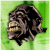 :iconbscans: