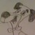 :iconbshanks: